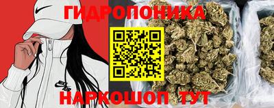 крисы Усть-Джегута